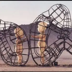 Innerlijk kind boerderijcoaching