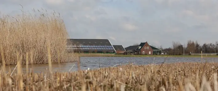 ontwikkelen jouw puurste versie - holistische coach Linda